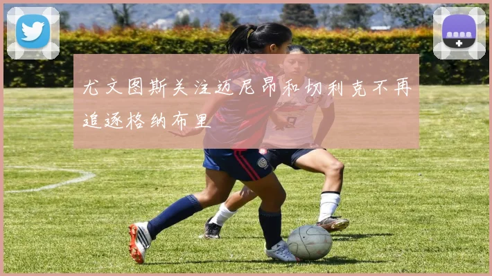 尤文图斯关注迈尼昂和切利克不再追逐格纳布里