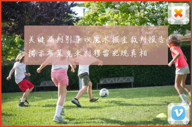 关键漏判引争议魔术掘金裁判报告揭示布莱克未判穆雷犯规真相