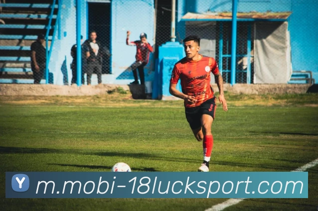 18新利体育平台生态图