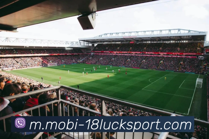 18新利体育全站App